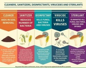 Difference between Sanitizer and Disinfectants - Zero Waste Earth Store